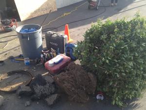 our Sugar Land drain clearing techs can clear tree roots